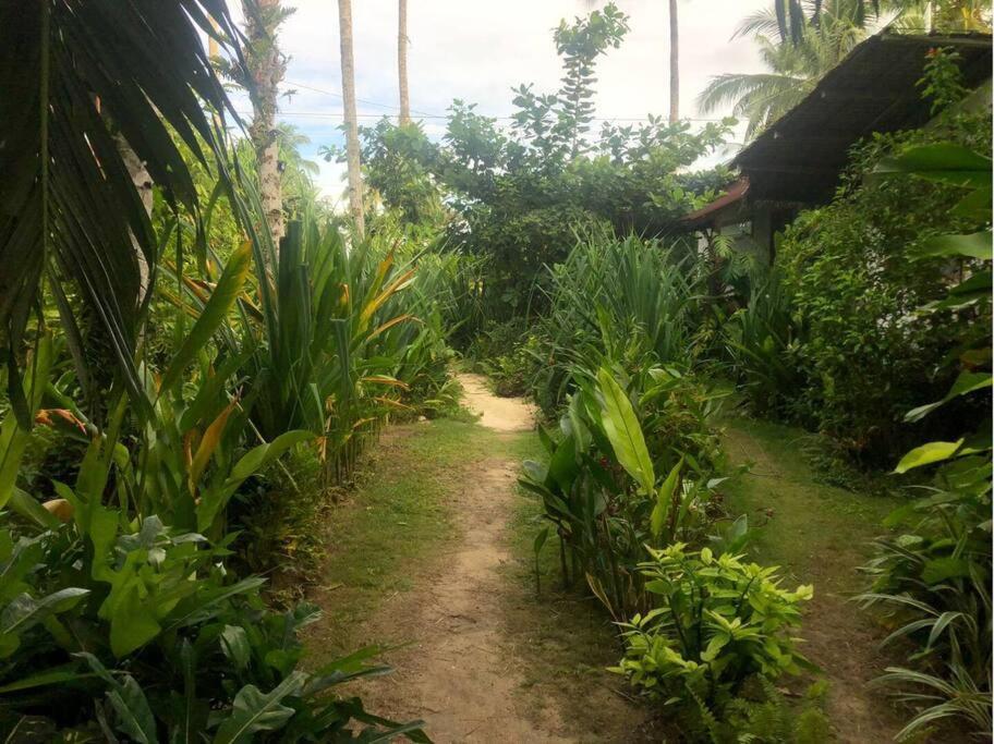 Secret Spot Siargao Hotel General Luna  Exterior photo